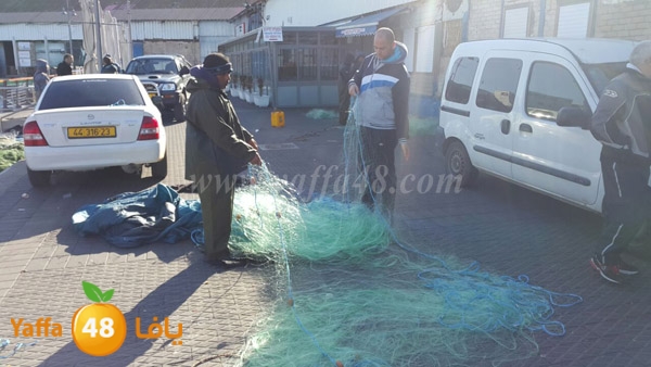 samak yaffa 3j53 (3).JPG